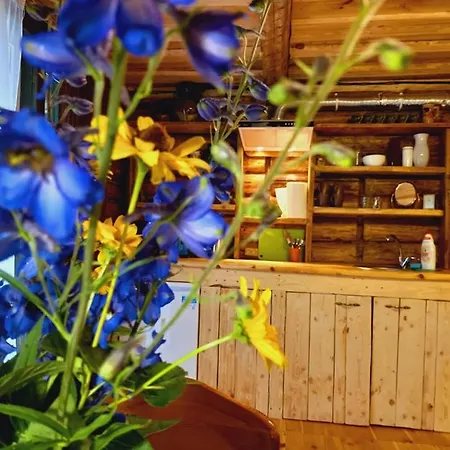 Tatil Evi Kundziniski